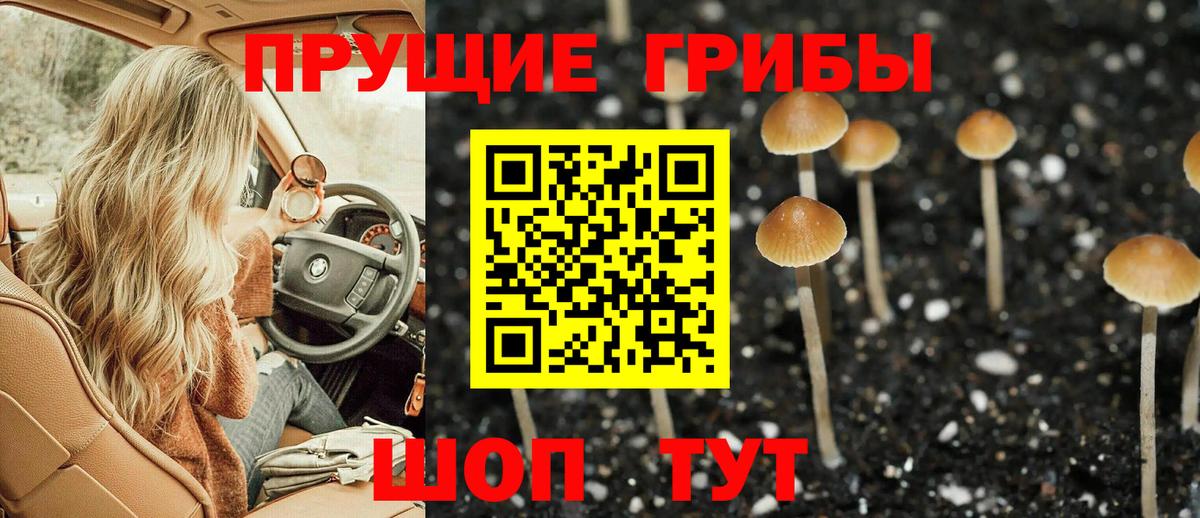 Лыткарино  Галлюциногенные грибы Psilocybine cubensis  Псилоцибиновые грибы ЛСД  Вход с VPN 